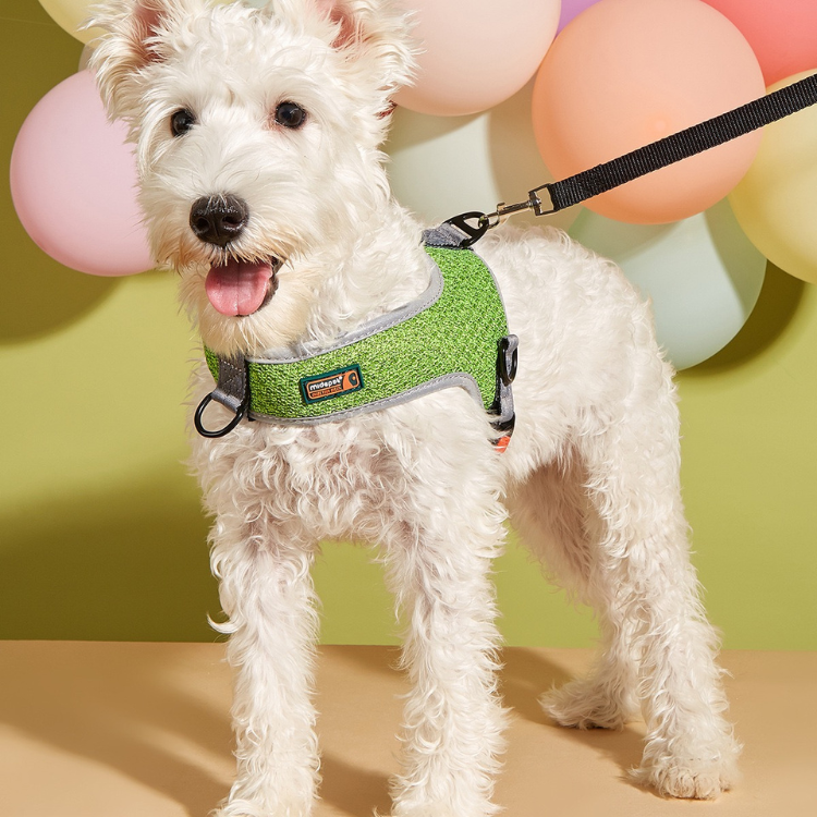 pet leashes